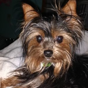 Meet your Posher, Marcia